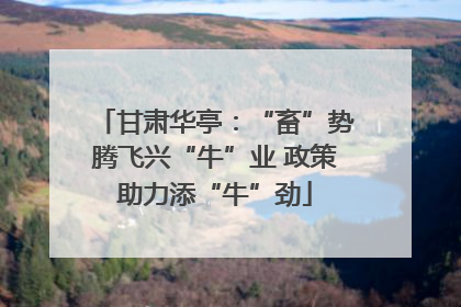 甘肃华亭：“畜”势腾飞兴“牛”业 政策助力添“牛”劲